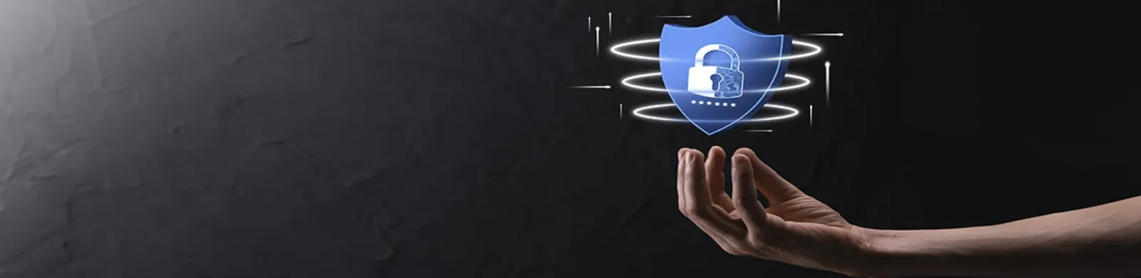 ISO/IEC 27001 Information Security Management
