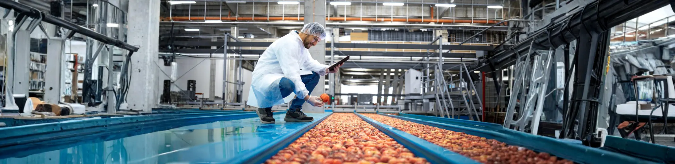 HACCP Internal Auditor Training Course