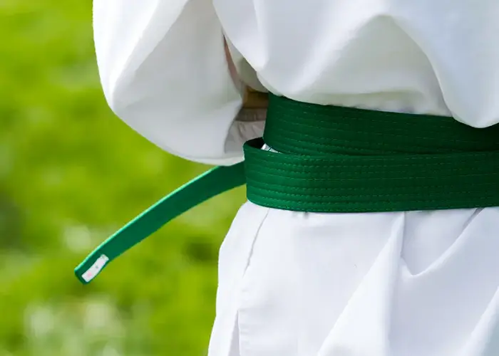 Lean Six Sigma Green Belt